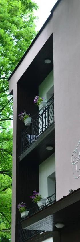 Boutique Hotel Lyulyak，位于斯塔佐扎格斯基巴尼的酒店