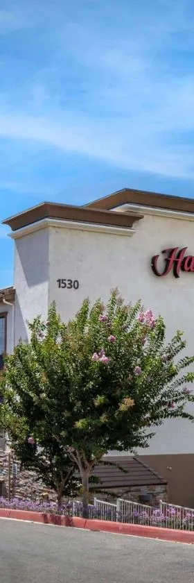 诺科/科罗娜希尔顿恒庭酒店，位于诺科的酒店