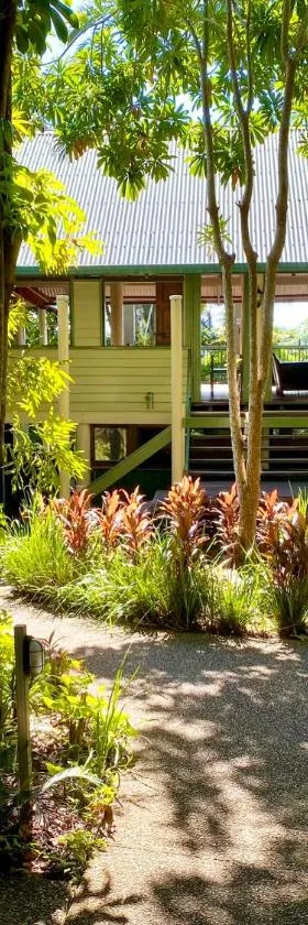 Jackaroo Treehouse Rainforest Retreat，位于米申海滩的酒店