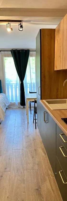 Somptueux studio de 17m2 Bernex，位于贝尔内的酒店