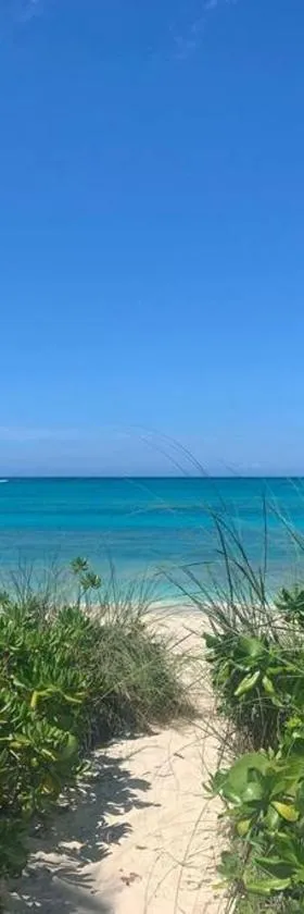 Beach'nBarefoot (Love Beach) - nestled on the beach，位于Orange Hill的酒店