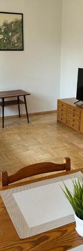 Przestronny apartament w centrum miasta - Mszana M11，位于下姆沙纳的酒店