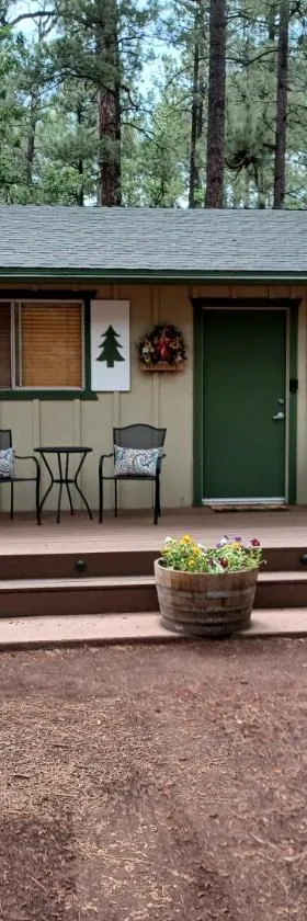 Adair Springs Cabin，位于派托普湖畔的酒店
