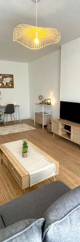 Appartement centre-bourg de Bessines，位于加尔唐普河畔贝西讷的酒店