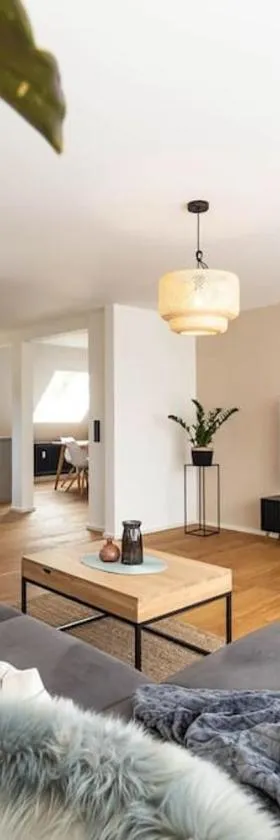 Luxury Apartment on the Rhein，位于高莱茵河畔布辛根的酒店