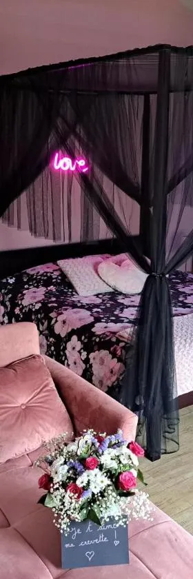 La suite d'Élise，位于Grumesnil的酒店