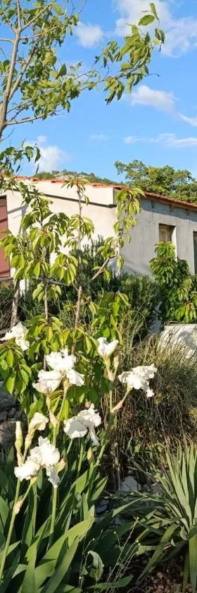 Robinson Haus PanoramA，位于扎格沃兹德的酒店
