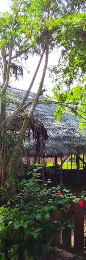 Hospedaje y tours Reina Arriera amazonas colombia，位于Macedonia的酒店