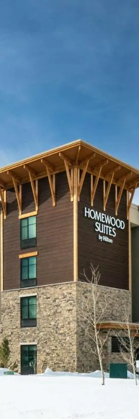 Homewood Suites By Hilton Dillon，位于狄龙的酒店
