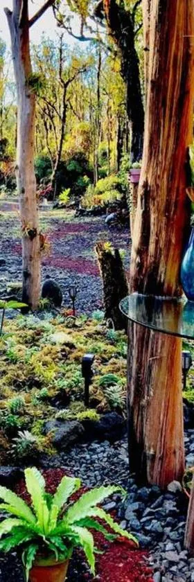 Exotic Garden cottage at amazing volcano fissure，位于芒廷维尤的酒店