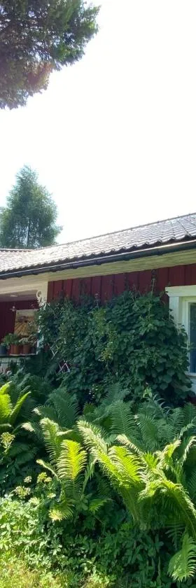 Cisze Kamieniec，位于Kamieniec的酒店