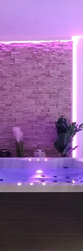 Évasion romantique avec jacuzzi intérieur，位于Rosières-près-Troyes的酒店