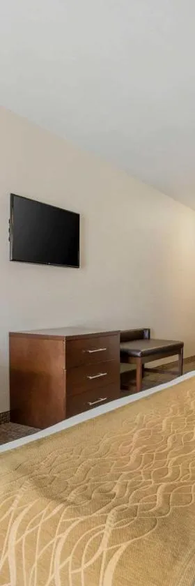 Comfort Inn & Suites Mitchell I-90，位于米切尔的酒店
