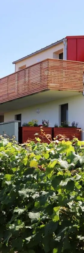 Vinařství U sv. Kříže，位于Prušánky的酒店
