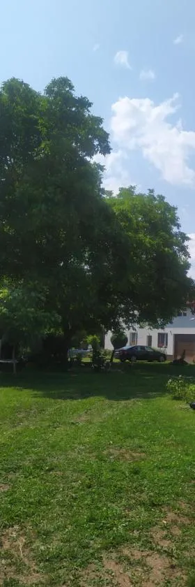 Apartmány u koní，位于Děkov的酒店