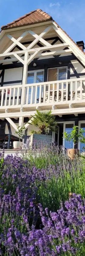 Romantik-Suite Nordelsaß B&B，位于Oberhoffen-lès-Wissembourg的酒店
