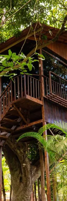 Hotel Heliconias Nature Inn & Hot Springs，位于福尔图纳的酒店
