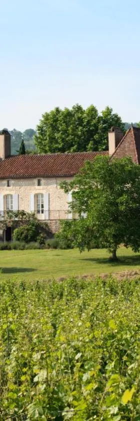 Château Gautoul，位于Puy-lʼÉvêque的酒店