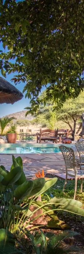 Gabus Safari Lodge，位于Otavi的酒店