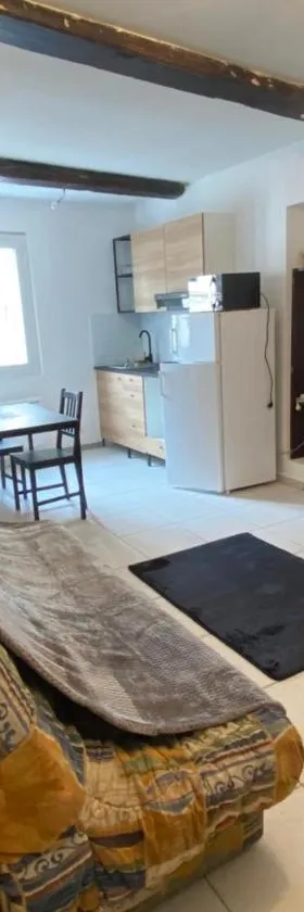 petit appartement calme en plein centre du village de ribiers，位于Val Buëch-Méouge的酒店