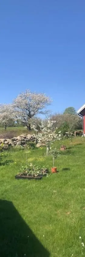 Gästhus i Slöinge nära Skrea strand，位于Slöinge的酒店