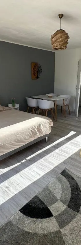 Studio SPA Balnéo - Jardin privé，位于Maureilhan-et-Raméjan的酒店