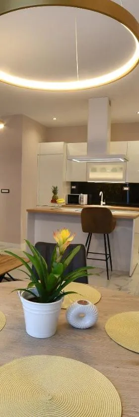 Apartment Madonna，位于杜格普利耶的酒店