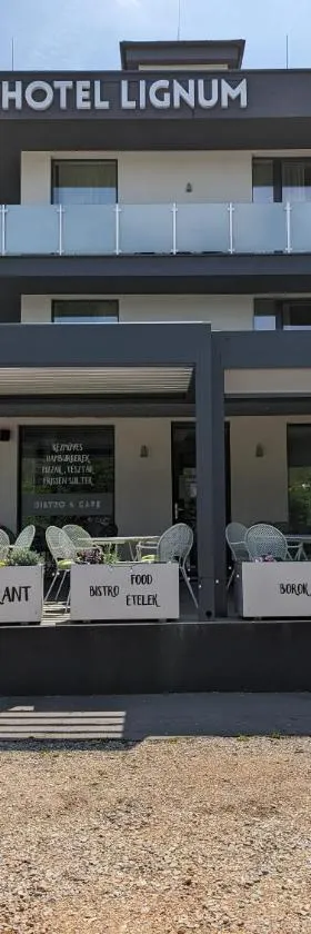 Lignum Hotel，位于米什科尔茨道波曹的酒店