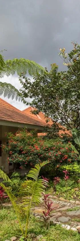 Ara Garden Inn, Accommodation, Yoga studio & Spa，位于鲁滕的酒店