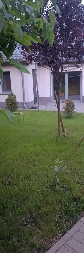 Końskie Zacisze parter，位于Sączkowo的酒店