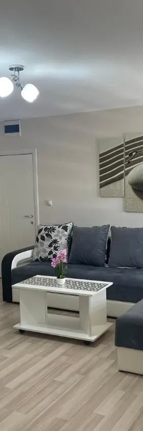 Apartmani Vrla，位于弗拉迪钦汉的酒店