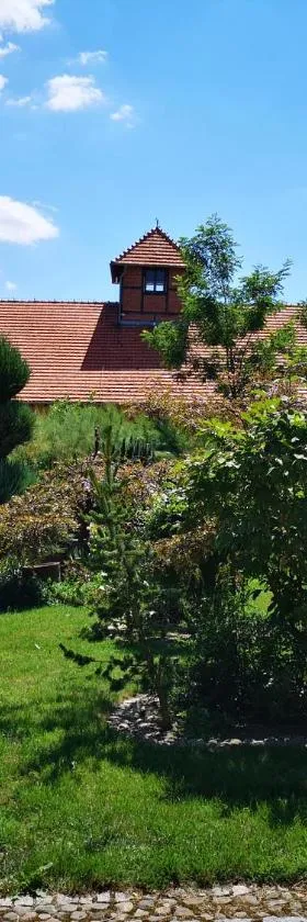 Agroturystyka Lesieniec - Magdalena i Maciej Mochoń，位于瑟楚夫的酒店