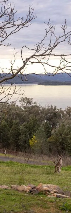 Reflections Lake Burrendong - Holiday Park，位于Mumbil的酒店