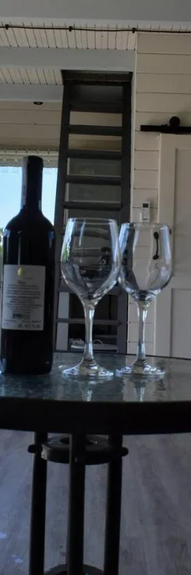 Domek na Winnicy Zagrabie，位于Rybna的酒店