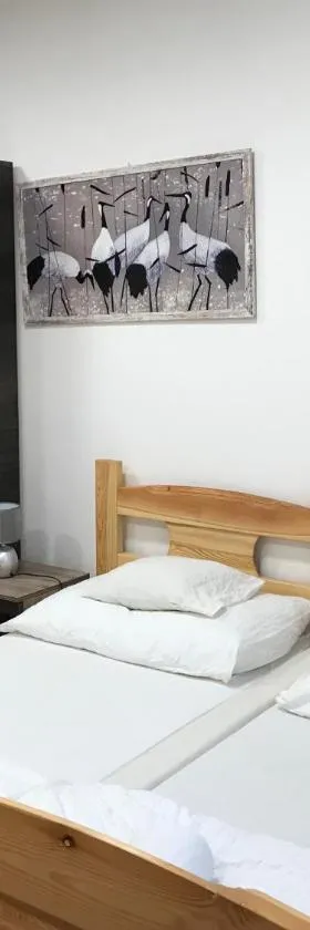 Tó-Party Apartman，位于Kiszombor的酒店