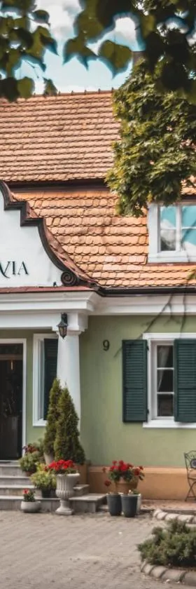 CukroVia，位于库特诺的酒店