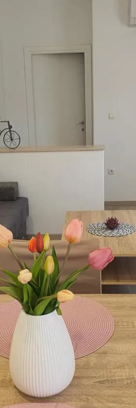 Apartment Radoš，位于杜格普利耶的酒店
