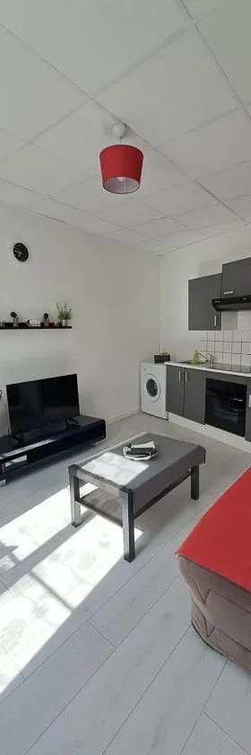 Appartement cosy sur Masevaux，位于Masevaux的酒店