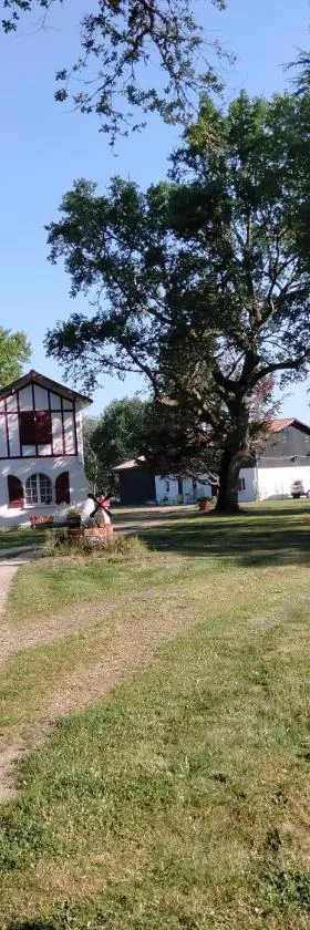 Amarante des Landes，位于Cap de Pin的酒店