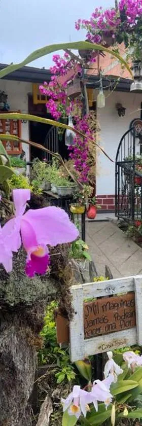 Casa Tr3bol Hospedaje en Venecia，位于Venecia的酒店