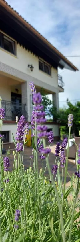 Apartman Nada，位于Ozalj的酒店