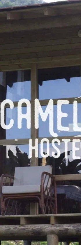 Camelia Hostel，位于San Carlos的酒店
