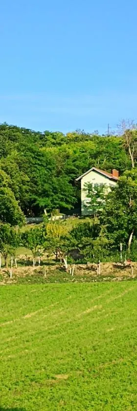 Baranja green peace，位于Draž的酒店