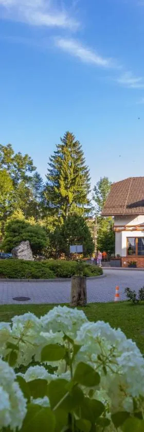 Hotel Wisła Premium，位于维斯瓦的酒店