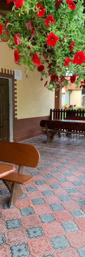 Noclegi Ciesiul，位于Orneta的酒店