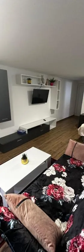 Apartment Radić 1，位于Sošice的酒店