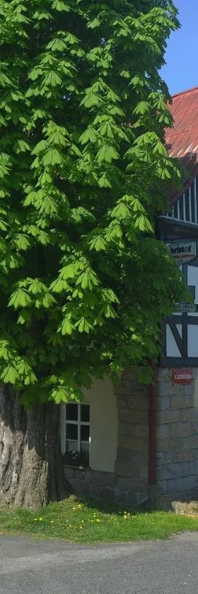 Hotel U Zeleného Stromu - Zum Grünen Baum，位于赫任斯科的酒店