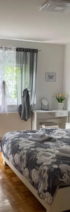 DIS apartment Varaždin，位于瓦拉日丁的酒店