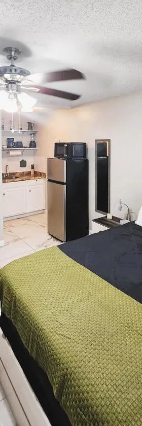 Adorable Mini Suite in Tampa，位于坦帕的酒店