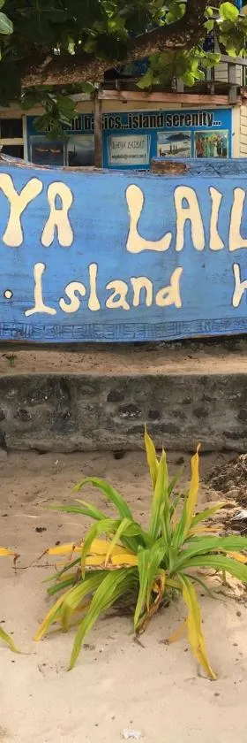 Waya Lailai Eco Haven，位于Wayasewa Island的酒店